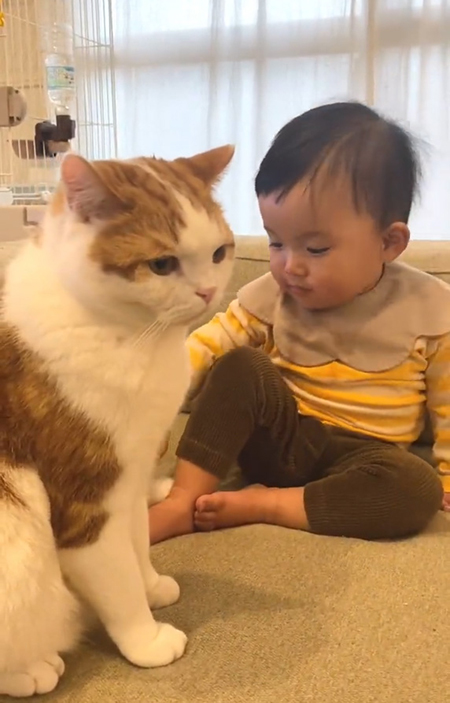 しっぽをつかむ妹ちゃん