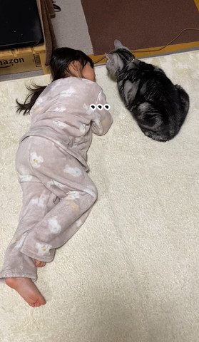 無言のテロップ