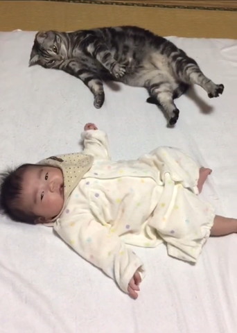 両足伸ばす猫と赤ちゃん