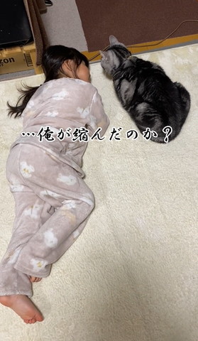 俺が縮んだのかテロップ