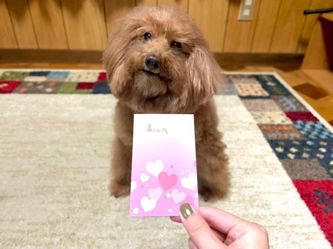 お年玉とワンコ