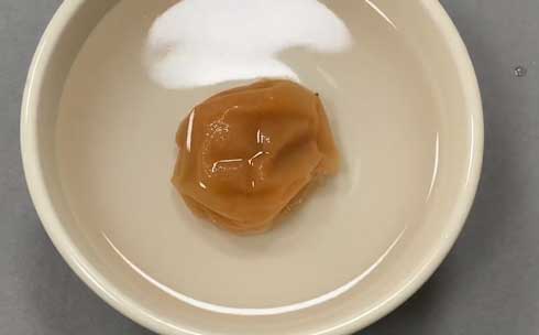 梅樹園 梅干し 白いカビ 塩 判別 見分ける 方法 お湯につける 豆知識