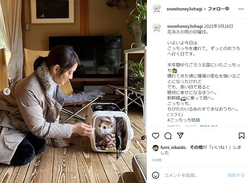 石田ゆり子と一時預かりの猫・こっちっち