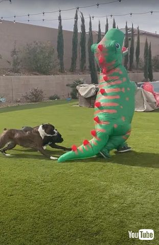 ティラノサウルス