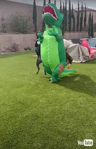 ティラノサウルス