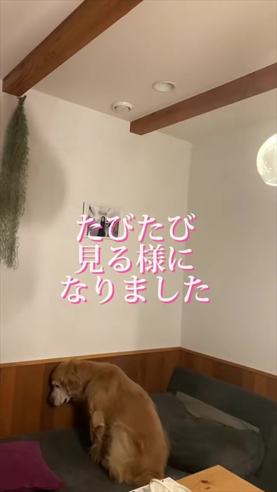 オススメ