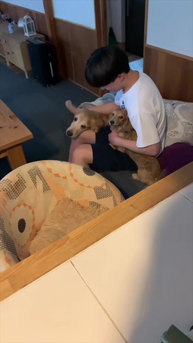 大型犬とお兄ちゃんの再会