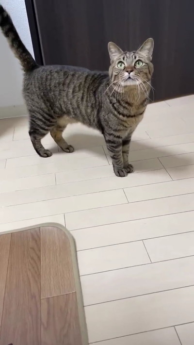 おやつがほしい
