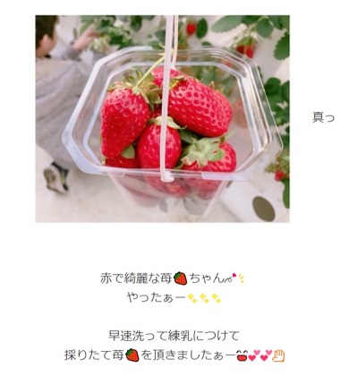 辻希美と杉浦太陽