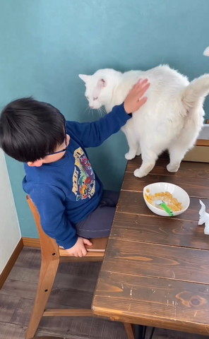 椅子に座って猫なでる息子さん