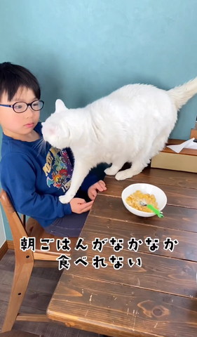 朝ごはんがなかなか食べれないテロップ