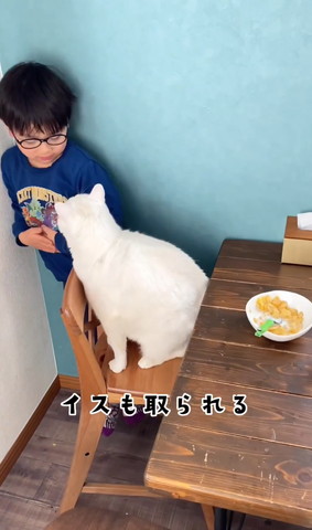 椅子もとられるテロップ