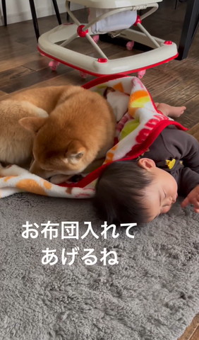 お布団入れてあげるねテロップ