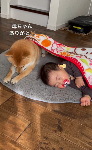 母ちゃんありがとテロップ