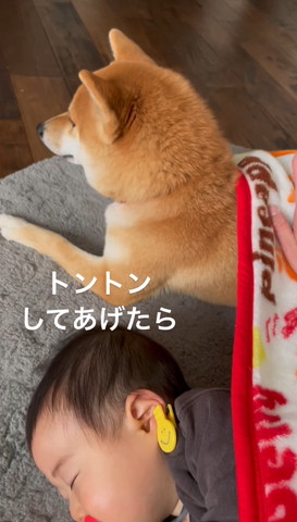 トントンしてあげたらテロップ