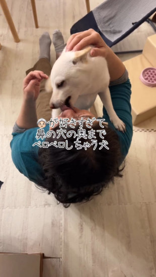 なめまわす犬