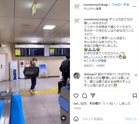 一時預かりの猫“こっちっち”を迎えに行く石田ゆり子