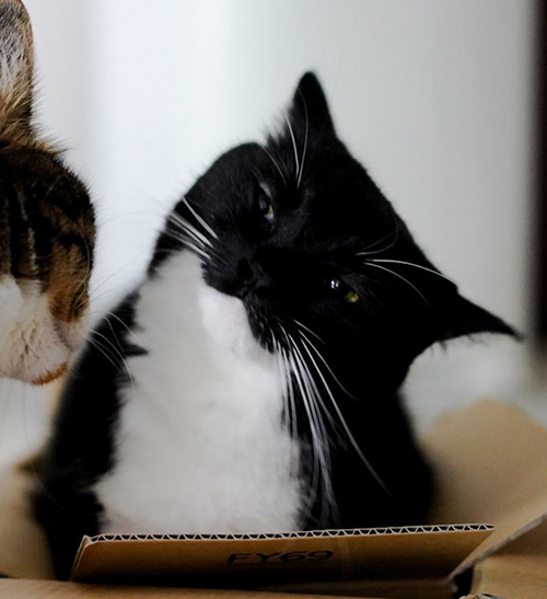 3枚目トリミング