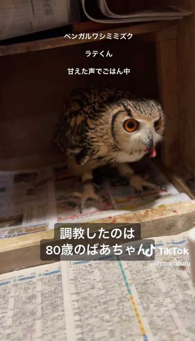 やりとりになごむ