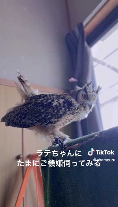 話しかけるおばあちゃん