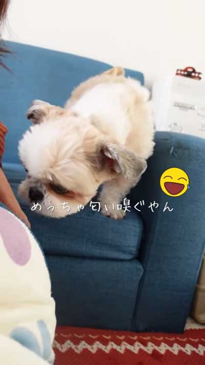 ママさんのニオイチェック