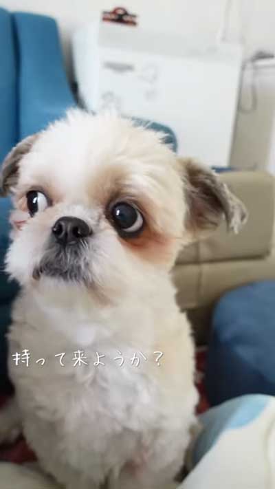 何か分かったママ