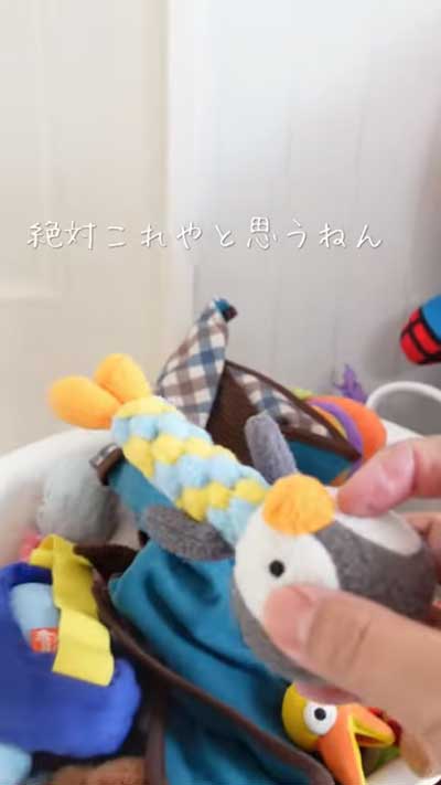 目の前にあるおもちゃ