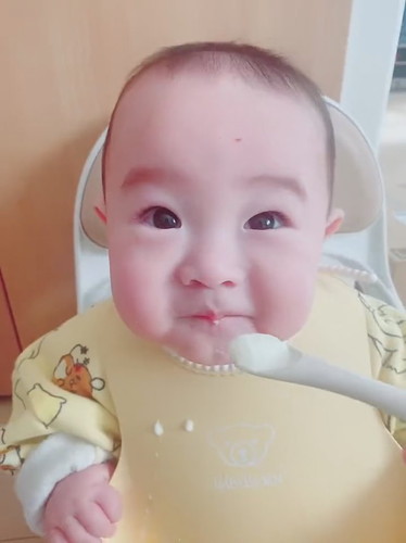 初めてのヨーグルト