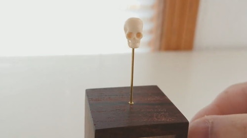 おいっ子くんのお願い