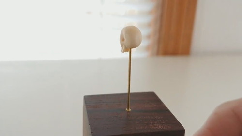 おいっ子くんのお願い