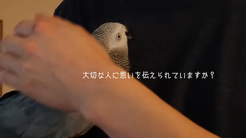 大切な人に