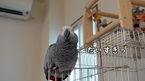 だいすきっ