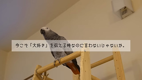 今こそ大好きを伝える時