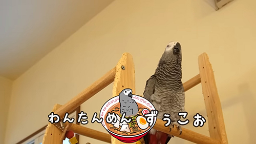 わんたんめん