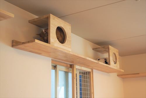 ネコリパブリック