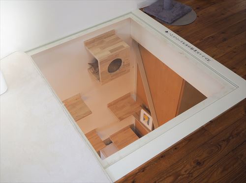 ネコリパブリック