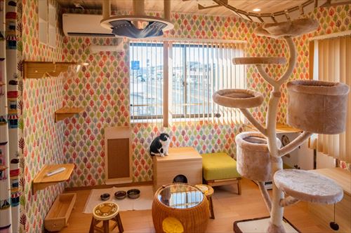 ネコリパブリック