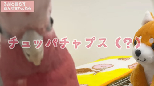 チュッパチャプス