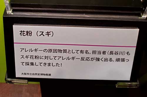 特別展 毒展 大阪 スギ 花粉 猛毒 アレルギー 展示
