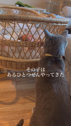 「その子はあるひとつぜんやってきた」