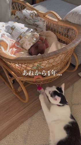 「その子はあるひとつぜんやってきた」