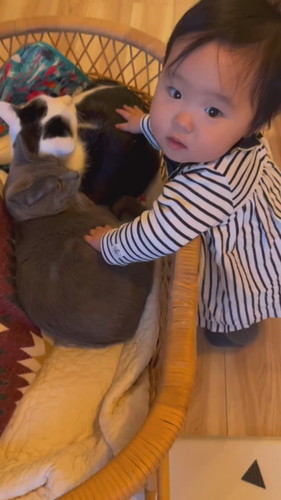 「その子はあるひとつぜんやってきた」