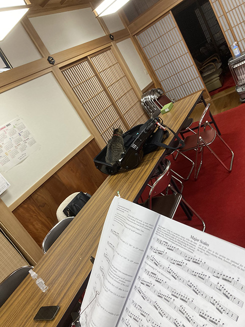 トロンボーン 猫 吹奏楽