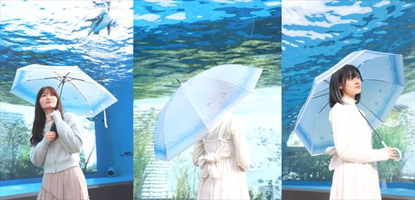 サンシャイン水族館 ペンギン 傘
