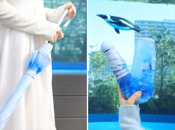 サンシャイン水族館 ペンギン 傘