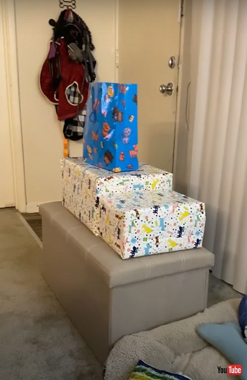 プレゼントを開けたくて待ちきれないワンコ