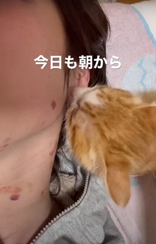 今日も朝からテロップ