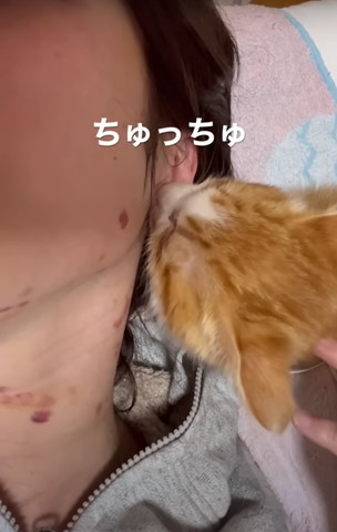 ちゅっちゅテロップ