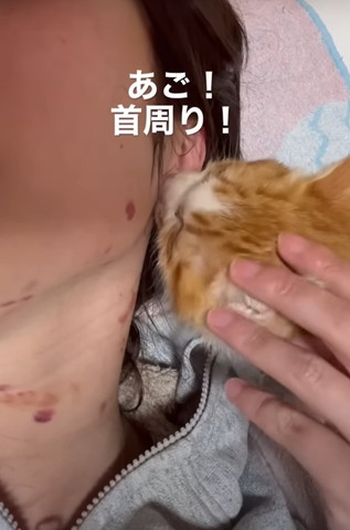 あご首回りテロップ