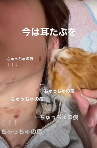 今は耳たぶをテロップ